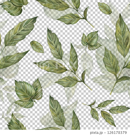 Seamless pattern with watercolor leaves on a sprig of coffee. Hand drawn, isolated on a white background. For prints, cards, textiles, kitchen, invitations 126178379