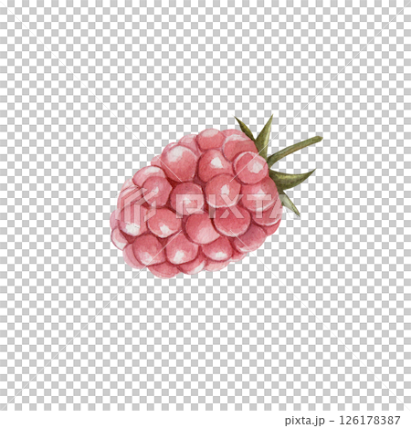 Raspberry, Watercolor illustration of a single berry isolated on a white background. Hand drawn botanical element, perfect for food design, packaging, and kitchen decor. Raspberry, Watercolor illustration of a single berry isolated on a white background. Hand drawn botanical element, perfect for food design, packaging, and kitchen decor. 126178387
