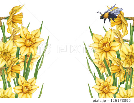 Yellow watercolor flowers and bumblebee. Watercolor illustration of a meadow with flowers and flying bees. Flower meadow on a summer day. Frame of flowers and bees Yellow watercolor flowers and bumblebee. Watercolor illustration of a meadow with flowers and flying bees. Flower meadow on a summer day. Frame of flowers and bees 126178896