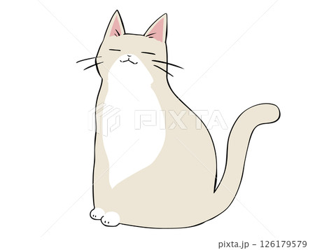 クリーム猫 座る クリーム猫 座る 126179579