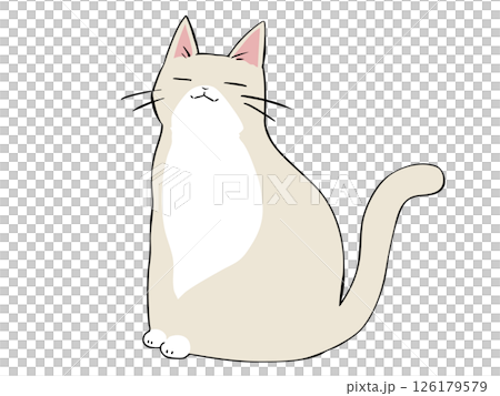 クリーム猫 座る クリーム猫 座る 126179579