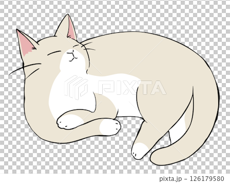 奶油色貓肘 奶油色貓肘 126179580