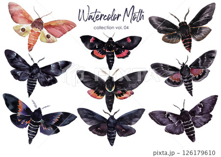 Vector Watercolor Moth and Butterfly Insect Collection Isolated on a White Background Vector Watercolor Moth and Butterfly Insect Collection Isolated on a White Background 126179610