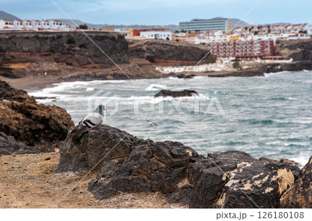 From the coast of San Borondonon the island of Gran Canaria, Canary Islands 126180108