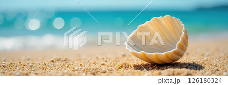 A seashell on a sandy beach with sparkling water in the background. 126180324