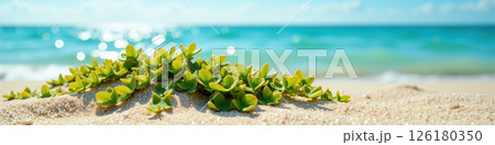 Green succulent on sandy beach. 126180350