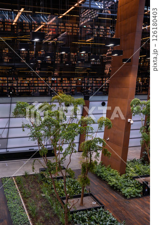 Public Library architecture bookcase Indoor trees Modern interior design of library in European Solidarity Centre Gdansk Poland. Biophilia design connecting with nature green areas. Modern abstract 126180403