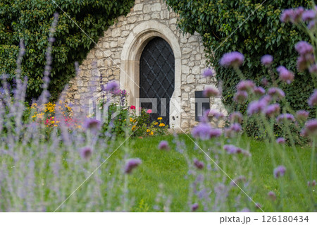 Wine cellar built from stones with violet flowers on foreground in Wawel Castle Krakow, Poland. Blooming in flower bed at courtyard. Spring flowers blossoming in sunny spring day, background stone Wine cellar built from stones with violet flowers on foreground in Wawel Castle Krakow, Poland. Blooming in flower bed at courtyard. Spring flowers blossoming in sunny spring day, background stone 126180434