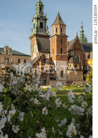 Summer view of Wawel Royal Castle in Krakow, Poland. Historical place in Poland. Flowers on foreground. Beautiful sightseeing with Wawel Royal Castle and colorful flowers in Krakow, Poland 126180504