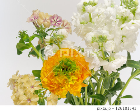 ラナンキュラスとストックとフロックスの花 126181543