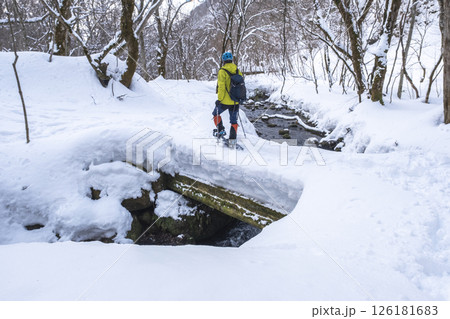 森の新雪をスノーシューで楽しむイメージ　大山木谷沢渓流 126181683