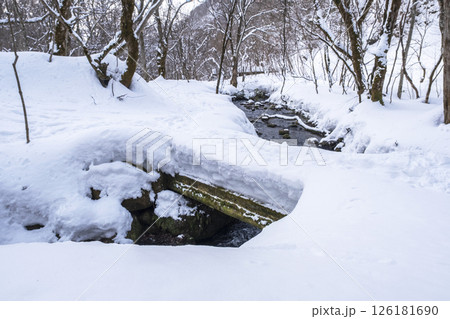 森の新雪をスノーシューで楽しむイメージ 大山木谷沢渓流 森の新雪をスノーシューで楽しむイメージ 大山木谷沢渓流 126181690