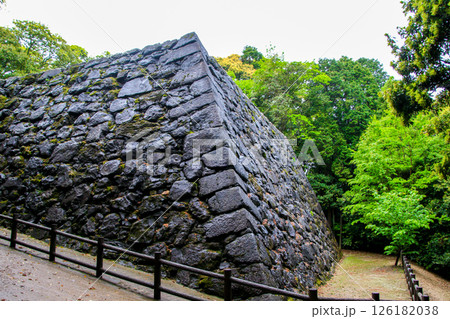 岩国城 岩国城 126182038