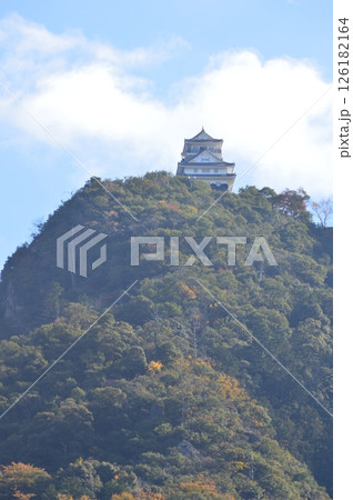 金華山・岐阜城(岐阜県岐阜市) 金華山・岐阜城(岐阜県岐阜市) 126182164