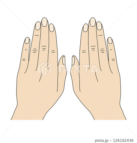両手の手の甲 126182436
