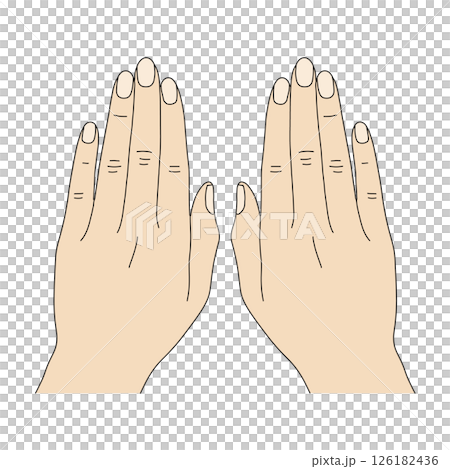 両手の手の甲 126182436