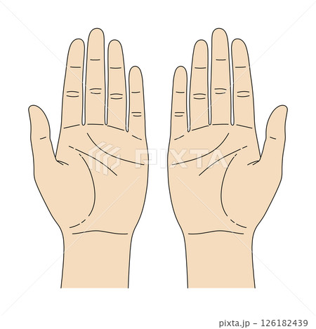 両手の手のひら 126182439