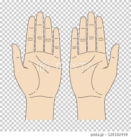 両手の手のひら 126182439