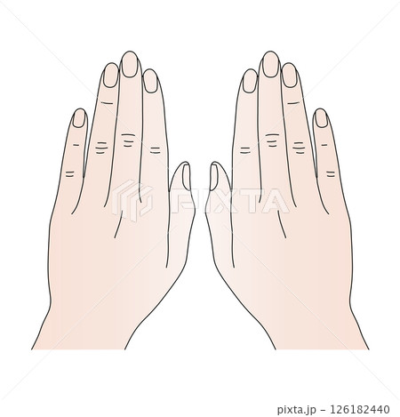 両手の手の甲 126182440