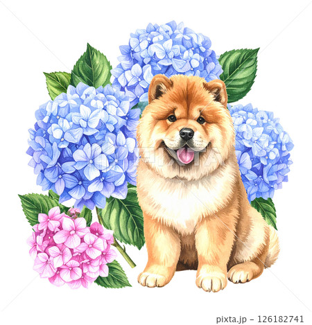 アジサイの花とチャウチャウの挿絵イラスト3／チラシやポスター用素材 126182741