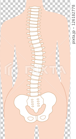 脊椎和骨盆扭曲 脊椎和骨盆扭曲 126182778
