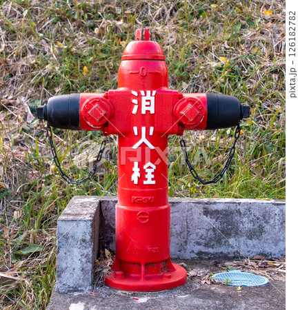 かわいい消火栓 126182782
