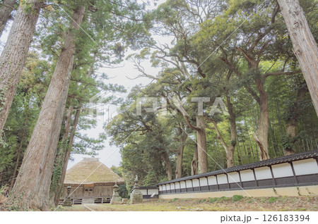 佐渡国分寺 126183394