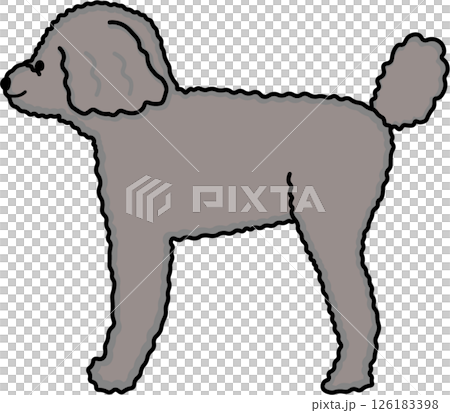 灰色方形玩具貴賓犬的側面視圖 灰色方形玩具貴賓犬的側面視圖 126183398