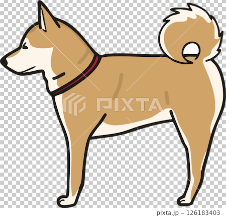 横から見た可愛い柴犬のイラスト 126183403
