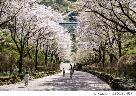 春の神奈川県立あいかわ公園 (神奈川県愛川町) 126183407