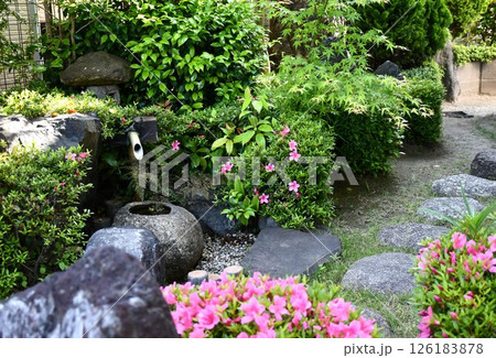 満開のサツキ　ガーデニング 126183878