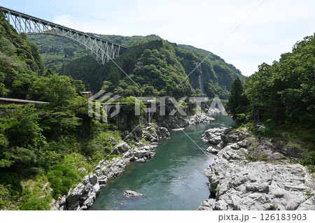新緑の綱の瀬橋梁 126183903