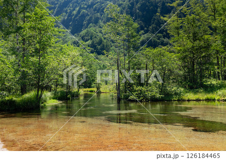 <長野県>上高地の絶景 田代池 <長野県>上高地の絶景 田代池 126184465