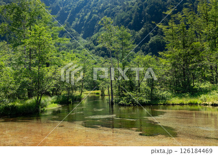 ＜長野県＞上高地の絶景　田代池 126184469