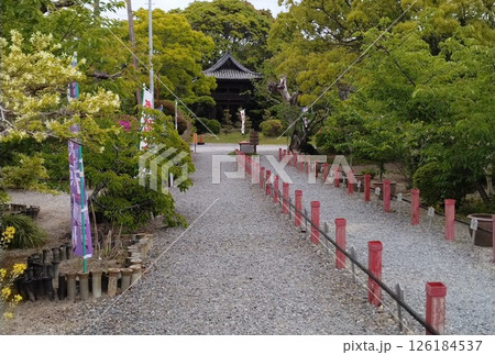 野間大坊　本殿　鐘楼堂　巡拝路　大門　悠紀殿 126184537