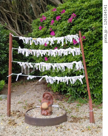 野間大坊 本殿 鐘楼堂 巡拝路 大門 悠紀殿 野間大坊 本殿 鐘楼堂 巡拝路 大門 悠紀殿 126184541