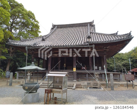 野間大坊 本殿 鐘楼堂 巡拝路 大門 悠紀殿 野間大坊 本殿 鐘楼堂 巡拝路 大門 悠紀殿 126184546