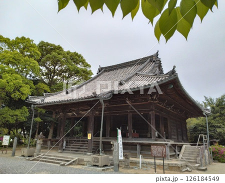 野間大坊 本殿 鐘楼堂 巡拝路 大門 悠紀殿 野間大坊 本殿 鐘楼堂 巡拝路 大門 悠紀殿 126184549