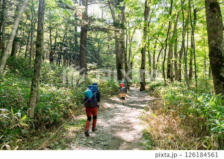 ＜長野＞上高地　トレッキング 126184561