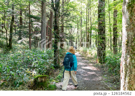 <長野>上高地 トレッキング <長野>上高地 トレッキング 126184562