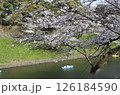 桜が満開になった千鳥ヶ淵 126184590