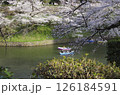 桜が満開になった千鳥ヶ淵 126184591