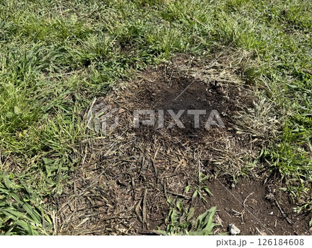 キャンプ　焦げた地面 126184608