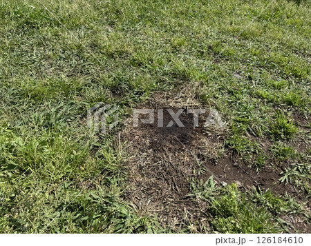 キャンプ 焦げた地面 キャンプ 焦げた地面 126184610