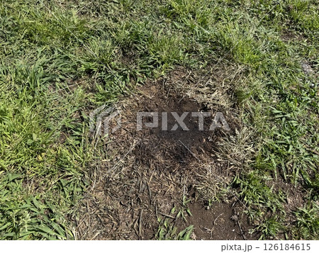 キャンプ　焦げた地面 126184615