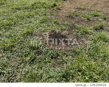 キャンプ　焦げた地面 126184616