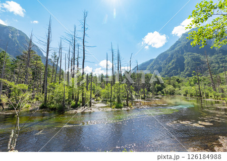 <長野>上高地の絶景 岳沢湿原と六百山 <長野>上高地の絶景 岳沢湿原と六百山 126184988