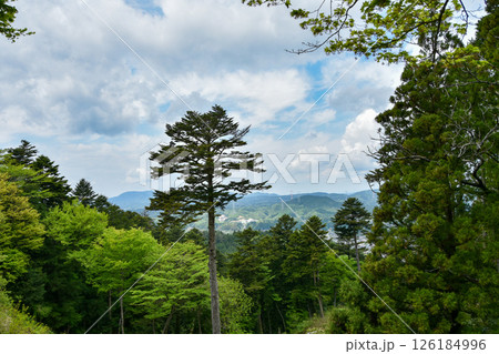 夏の岐阜県の岩村城趾から見た風景 夏の岐阜県の岩村城趾から見た風景 126184996