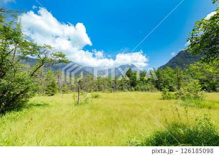 ＜長野県＞上高地の絶景　田代湿原 126185098