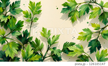 A charming watercolor vignette of parsley leaves, in an intimate watercolor style 126185147